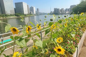 いとこの誕生会と親戚の集い in 茨城の画像